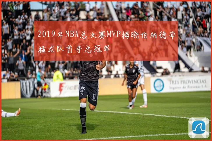 2019年NBA总决赛MVP揭晓伦纳德率猛龙队首夺总冠军