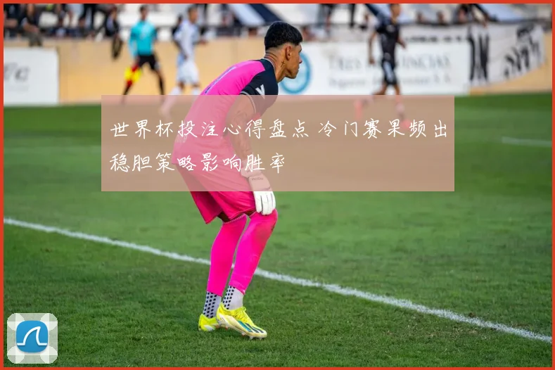世界杯投注心得盘点 冷门赛果频出稳胆策略影响胜率