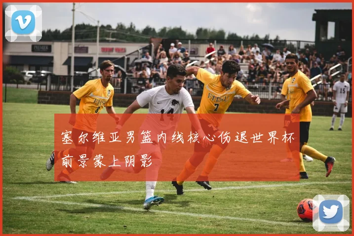 塞尔维亚男篮内线核心伤退世界杯前景蒙上阴影