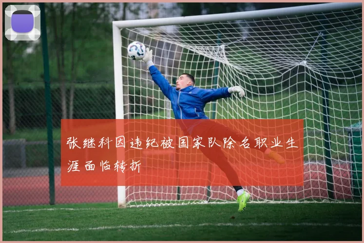 张继科因违纪被国家队除名职业生涯面临转折