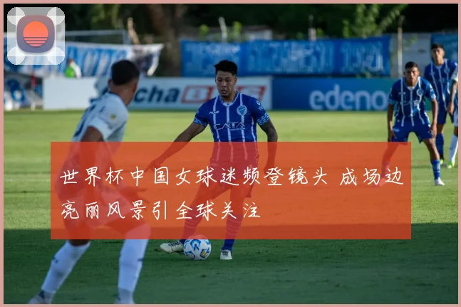 世界杯中国女球迷频登镜头 成场边亮丽风景引全球关注