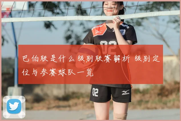 巴伯联是什么级别联赛解析 级别定位与参赛球队一览