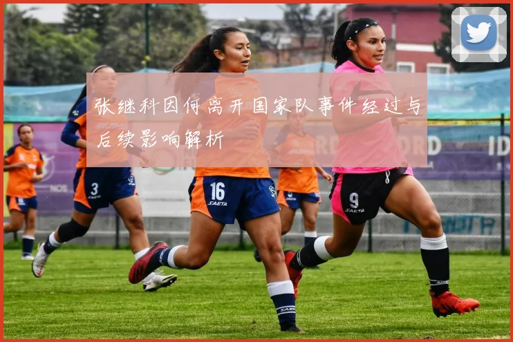 张继科因何离开国家队事件经过与后续影响解析