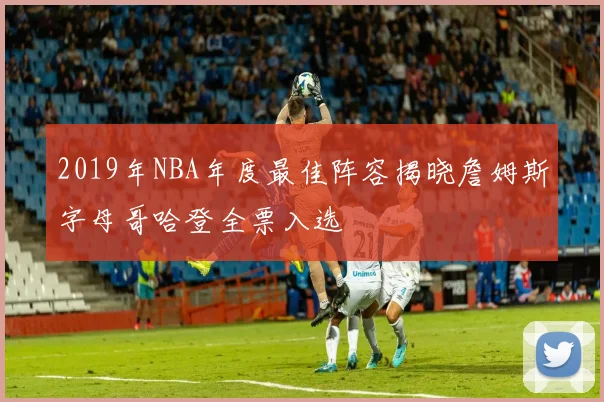 2019年NBA年度最佳阵容揭晓詹姆斯字母哥哈登全票入选