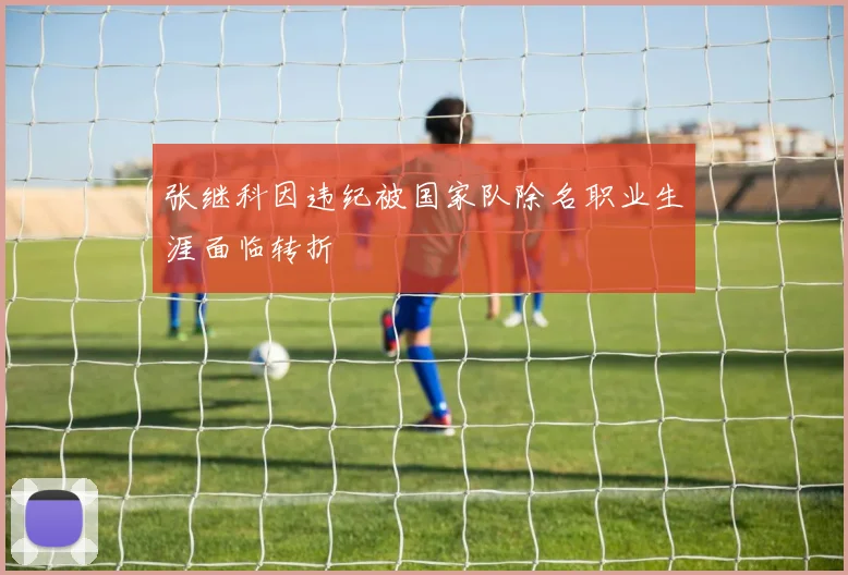 张继科因违纪被国家队除名职业生涯面临转折