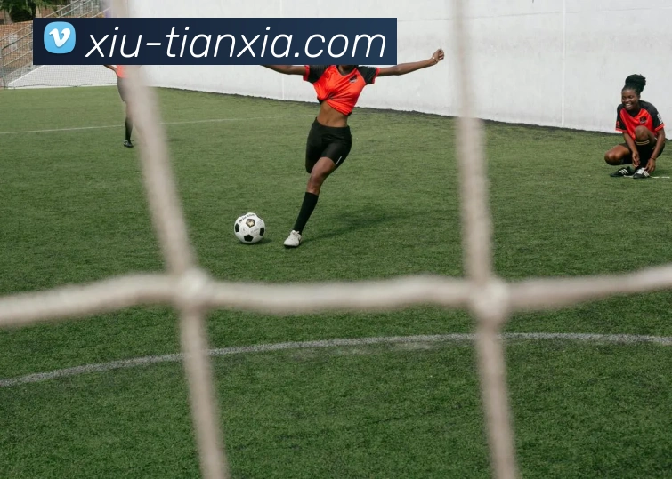 多媒体互动体验