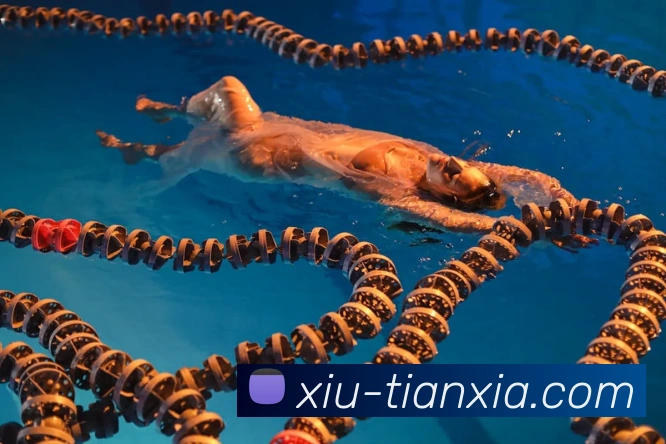 环球体育APP 体育赛事宣传图